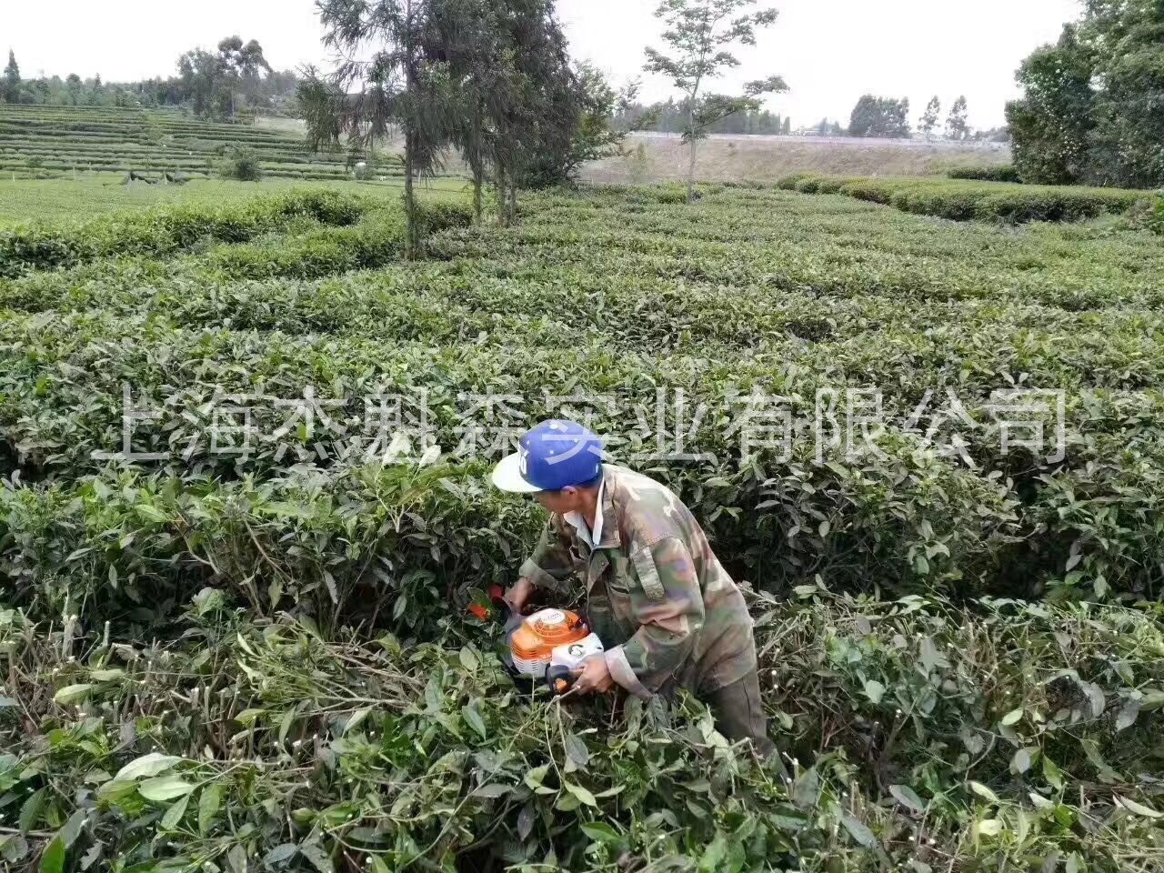 斯蒂尔hs87r单刃茶叶茶树绿篱机 进口茶树修剪机